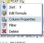EditColumnProperties