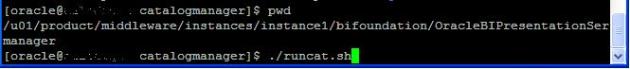 runcat-start-catalogmanager